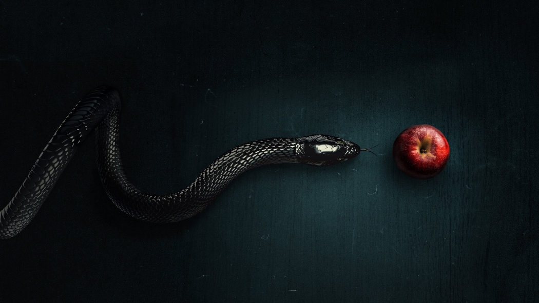 Evil 4. Sezon 14. Bölüm izle